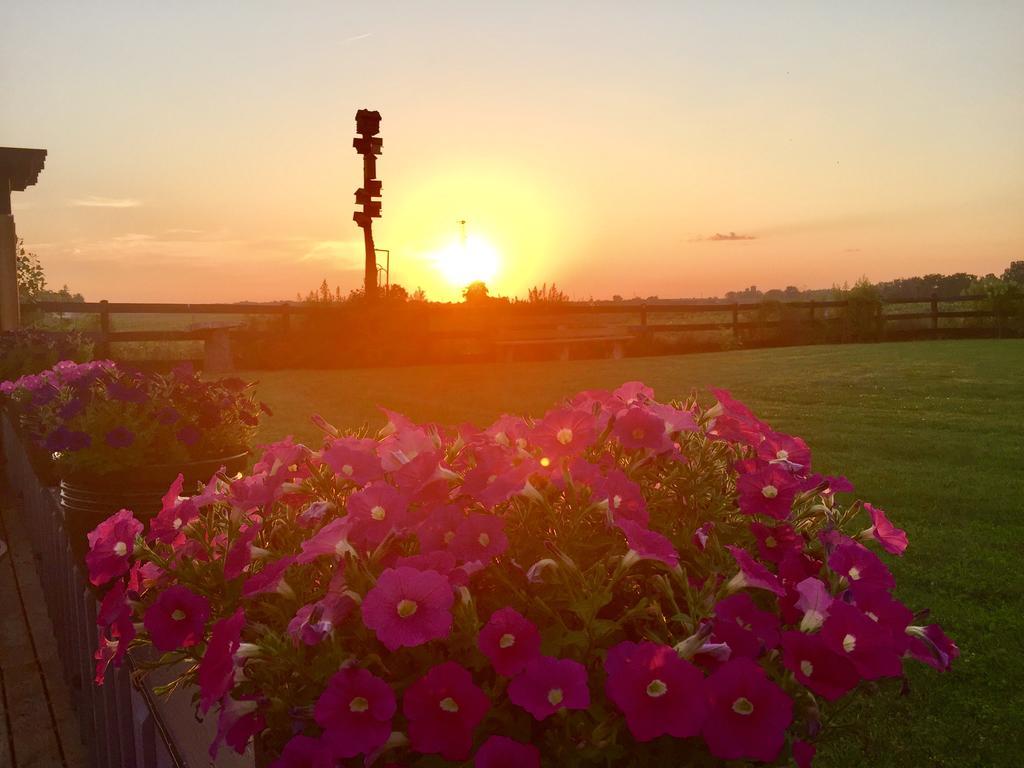 Serenity Ranch Bed & Breakfast Ancaster Екстериор снимка